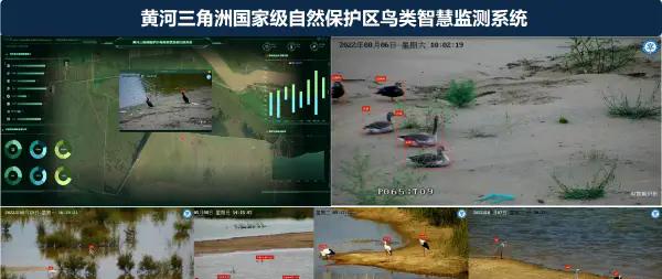 康奈尔大学排名一览表_康奈尔大学_康奈尔大学地址