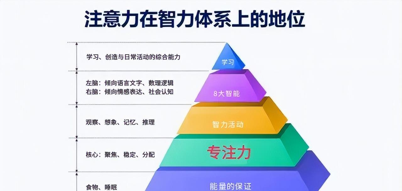哈佛大学简介_哈佛大学在哪座城市_哈佛大学