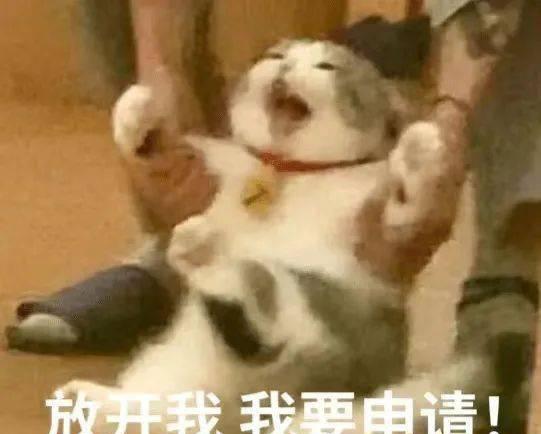 宾夕法尼亚大学_宾夕尼亚大学法学院公开课_宾夕法尼亚大学法学院申请条件
