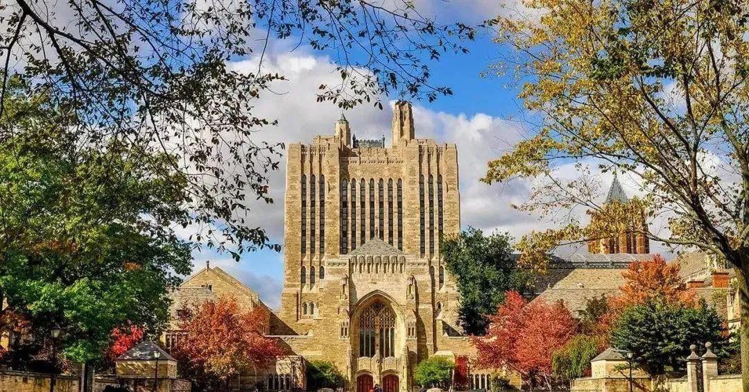 常春藤大学排名_常春藤大学_常春藤大学世界排名